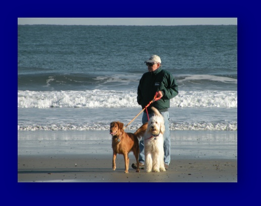 Walking the dogs on the beach